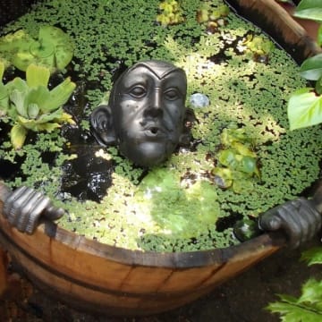 Wasserspeier Gargoyle für Miniteich mit Pumpe 230 Volt braun - Gold als Wasserspiel für die Gartendeko